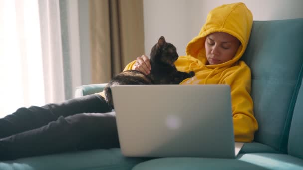Νεαρή ελεύθερη επαγγελματίας, εργάζεται στο σπίτι με μια γάτα και αποκοιμιέται. — Αρχείο Βίντεο