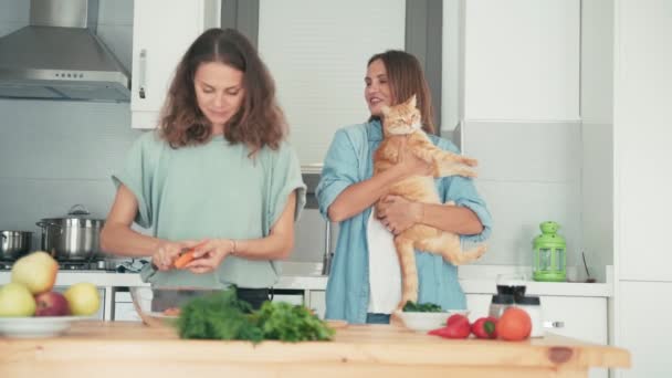 Две молодые кавказские женщины готовят на яркой кухне с рыжей кошкой . — стоковое видео