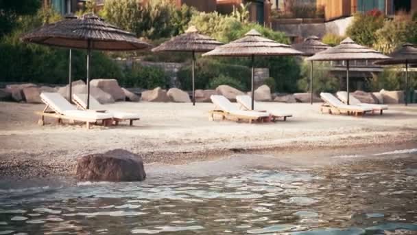 Στιγμιότυπο από άδειες ξαπλώστρες στην παραλία του πολυτελούς ξενοδοχείου. Κανένας. — Αρχείο Βίντεο