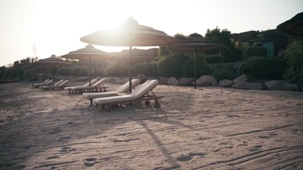 Handhållen bild av tomma solstolar på lyxhotell stranden. Ingen. — Stockvideo