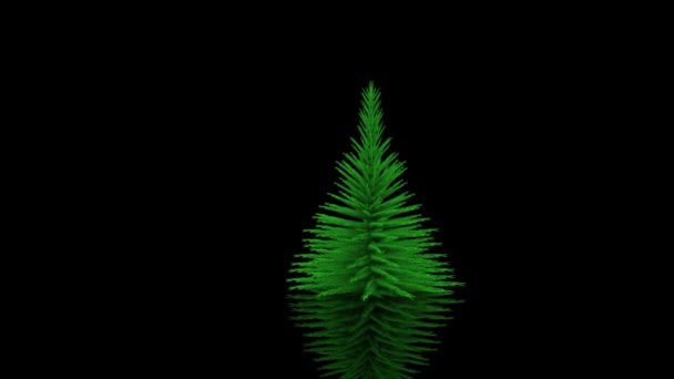 Illustrazione 3D - Video. Albero di Natale decorato e regali . — Video Stock