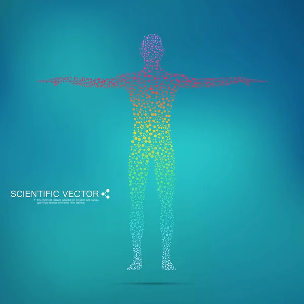 Strukturmolekül des Menschen. abstraktes Modell menschlicher Körper dna. Medizin, Wissenschaft und Technologie. wissenschaftlicher Vektor für Ihr Design. — Stockvektor