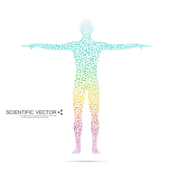 Estrutura molécula do homem. Modelo abstrato DNA do corpo humano. Medicina, ciência e tecnologia. Vetor científico para o seu projeto . — Vetor de Stock