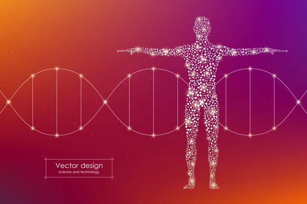 Resumen del cuerpo humano con moléculas de ADN. Concepto de medicina, ciencia y tecnología. Ilustración vectorial — Vector de stock