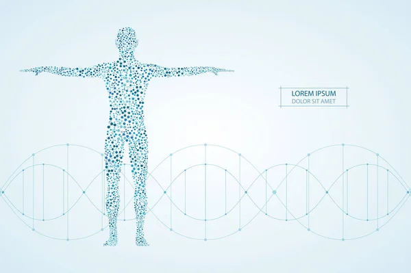 Αφηρημένη ανθρώπινο σώμα με τα μόρια Dna. Έννοια της ιατρικής, της επιστήμης και της τεχνολογίας. Εικονογράφηση διάνυσμα. — Διανυσματικό Αρχείο