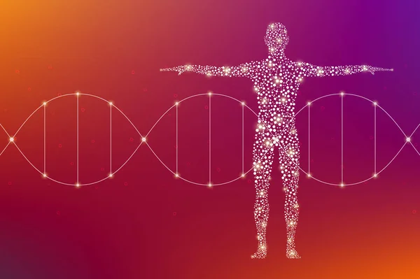 Αφηρημένη ανθρώπινο σώμα με τα μόρια Dna. Έννοια της ιατρικής, της επιστήμης και της τεχνολογίας. Εικονογράφηση. — Φωτογραφία Αρχείου