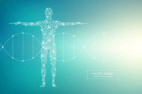 Vector cuerpo humano con moléculas de ADN. Concepto de medicina, ciencia y tecnología . — Vector de stock