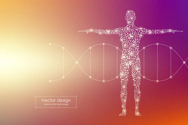 Vector cuerpo humano con moléculas de ADN. Concepto de medicina, ciencia y tecnología . — Vector de stock