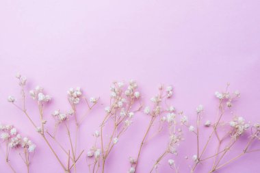 Pembe bir arka plan üzerinde küçük beyaz çiçekli üç kuru dal. Minimalizm.