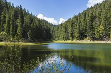 Karpatlar dağ göl. Doğa uyumunu sessizliği