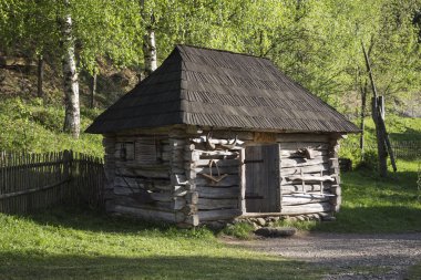 Ulusal Ukrayna dağlarda ev sahipliği yapmaktadır. Karpatlar baharda.
