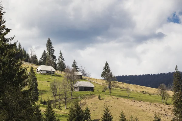 Ulusal Ukrayna dağlarda ev sahipliği yapmaktadır. Karpatlar baharda. — Stok fotoğraf