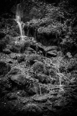 Şelale dağlarda. Karpatlar Ukrayna. Seyahat.