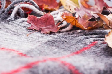 Sıcak bir battaniye bir arka plan üzerinde Sonbahar Kuru sarı yapraklar.