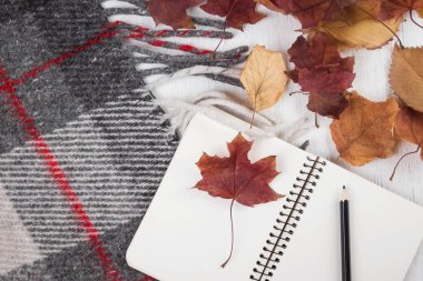 Defter ve kalem üzerinde arka plan Sonbahar Kuru sarı yaprakları ve sıcak battaniye.