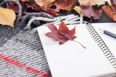 Defter ve kalem üzerinde arka plan Sonbahar Kuru sarı yaprakları ve sıcak battaniye.