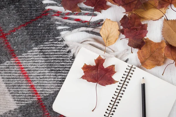 Defter ve kalem üzerinde arka plan Sonbahar Kuru sarı yaprakları ve sıcak battaniye.