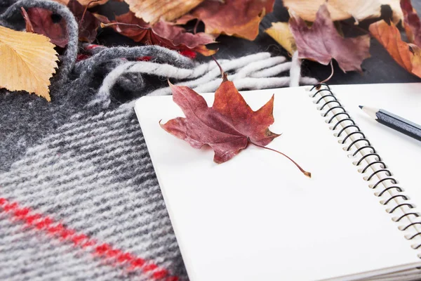 Defter ve kalem üzerinde arka plan Sonbahar Kuru sarı yaprakları ve sıcak battaniye.