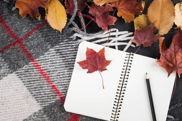 Defter ve kalem üzerinde arka plan Sonbahar Kuru sarı yaprakları ve sıcak battaniye.