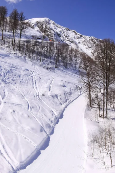 Piste Neige Route Station Ski Sotchi Russie — Photo