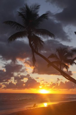 Dünyadaki cennet. Güneş, deniz, gök mavisi okyanustaki kumsal.