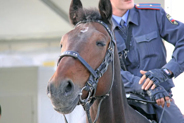 Officier Police Cheval Exposition Équipements Aéronautiques Armes Armée Russe Salon — Photo