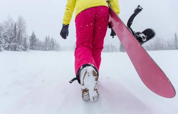 Kadın pembe snowboard kostüm 