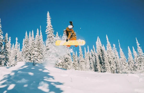 Snowboard atlama inhigh dağlar orman 