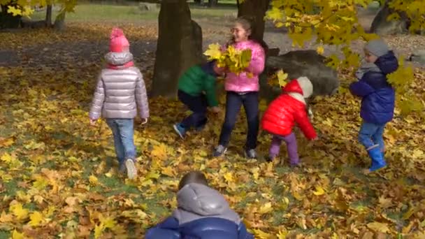 Crianças em roupas coloridas brincando no parque outono amarelo . — Vídeo de Stock