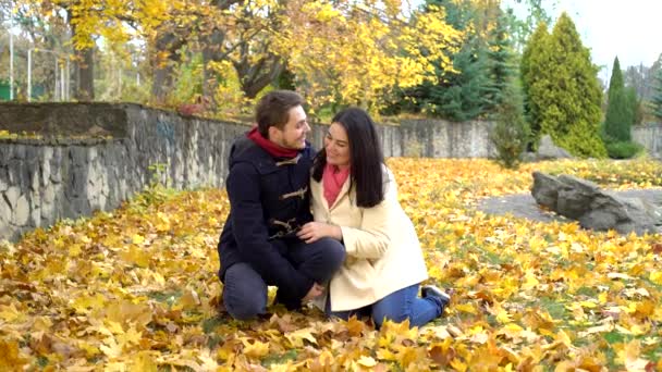 Una pareja amorosa en un parque en otoño . — Vídeos de Stock