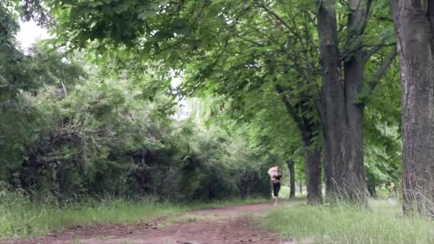 Junge Frau läuft in Sommerpark. — Stockvideo