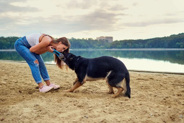 Bir kız yaz parkta onun köpek ile oynuyor.