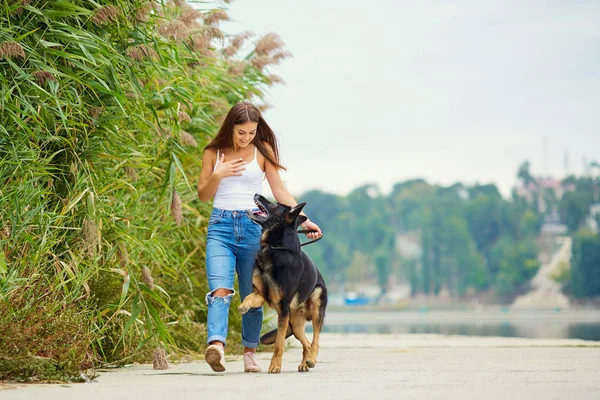 Una joven está paseando con un perro en el parque . — Foto de Stock