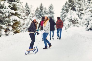 Arkadaşlar kışın doğaya gülümserler.