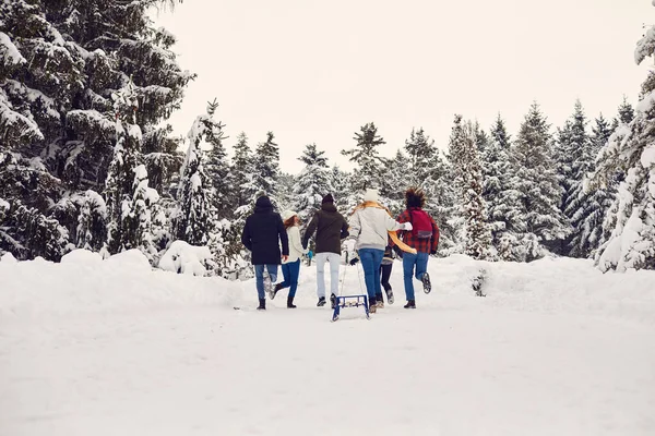 Widok z tyłu przyjaciele biegają na śniegu w parku w zimie. — Zdjęcie stockowe