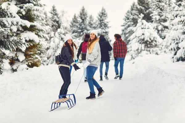 Przyjaciele uśmiechający się zimą do natury — Zdjęcie stockowe