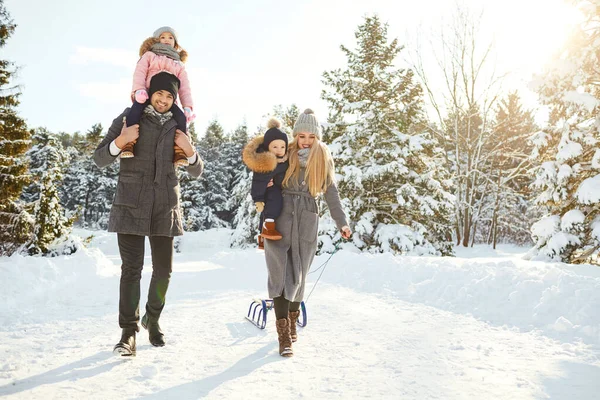 Feliz família trenó no parque no inverno . — Fotografia de Stock