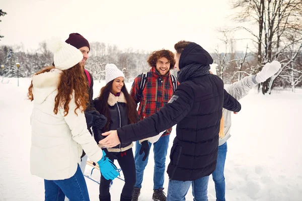 Szczęśliwe spotkanie przyjaciół w parku zimowym — Zdjęcie stockowe