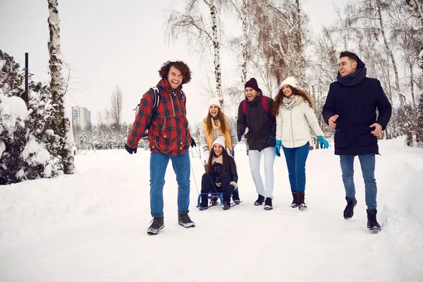 겨울에 눈에서 썰매를 당기를 즐기는 친구의 그룹 — 스톡 사진
