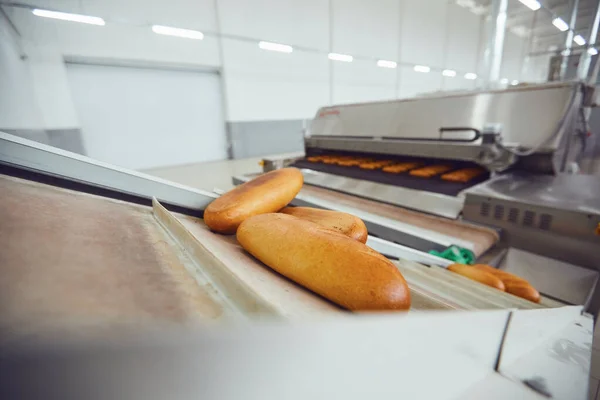 Сирий хліб на лотках перед випічкою в пекарні . — стокове фото
