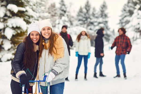 Barátok mosolyognak a természetre télen — Stock Fotó