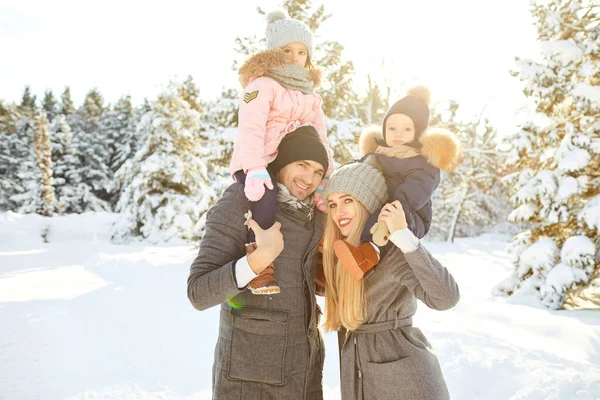 Семья улыбается зимой в парке — стоковое фото