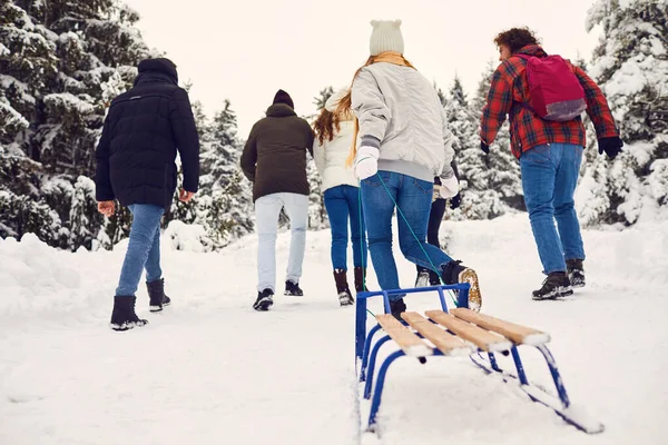 Widok z tyłu przyjaciele biegają na śniegu w parku w zimie. — Zdjęcie stockowe