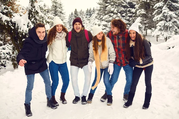 Przyjaciele śmieją się w śniegu w parku zimą — Zdjęcie stockowe