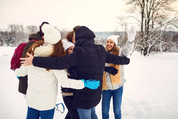 Encontro de amigos felizes no parque de inverno — Fotografia de Stock