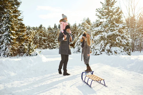 Feliz família trenó no parque no inverno . — Fotografia de Stock