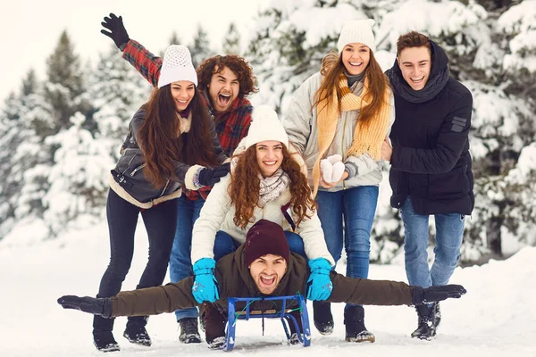 Amigos montando diversão na neve na natureza no inverno — Fotografia de Stock