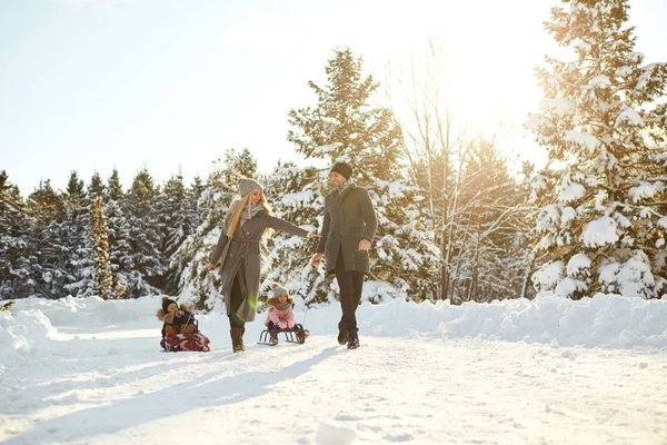 Feliz família trenó no parque no inverno . — Fotografia de Stock