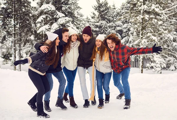 Przyjaciele śmieją się w śniegu w parku zimą — Zdjęcie stockowe