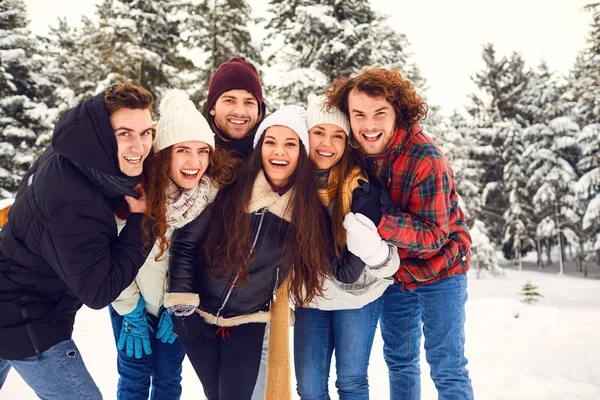 Grupo de amigos no parque no inverno — Fotografia de Stock